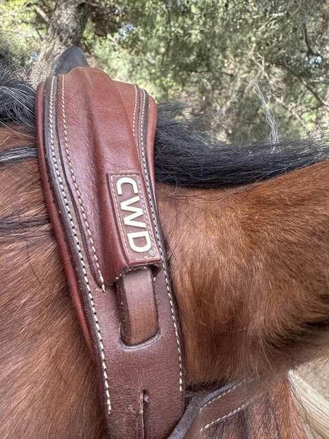 Bridon cwd