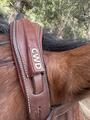Bridon cwd
