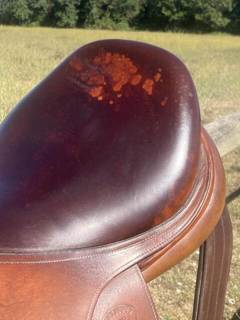 Selle devoucoux