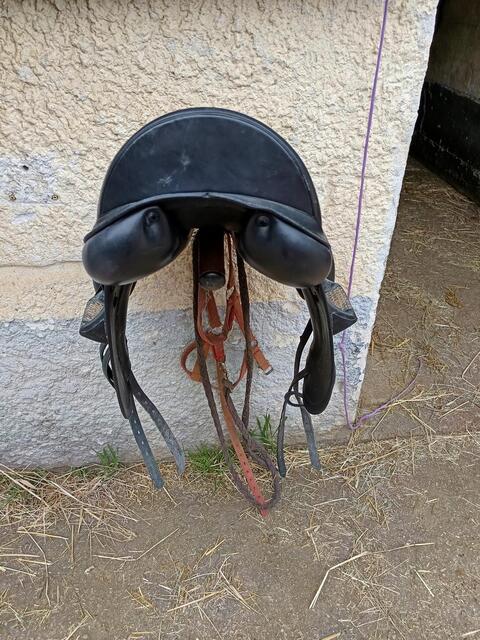 Selle de dressage Équipe