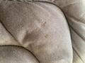 tapis Silver Crown