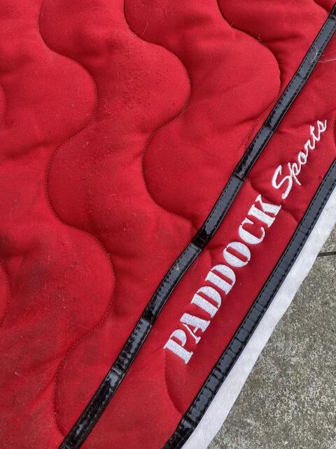 Tapis Paddock