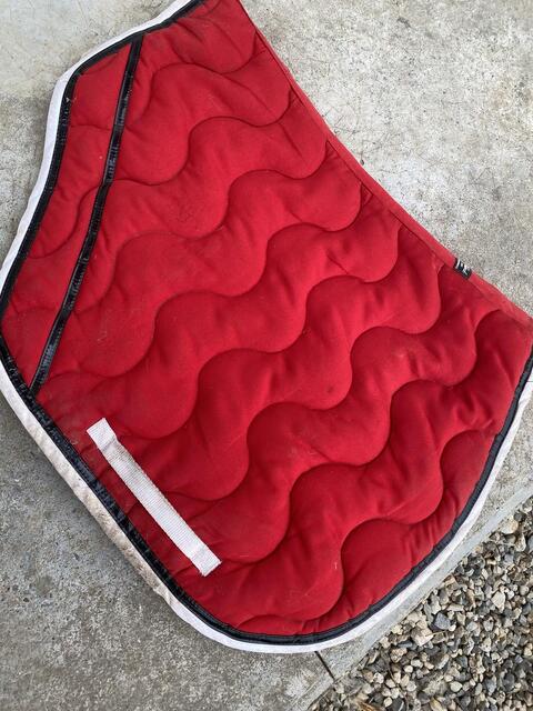 Tapis Paddock