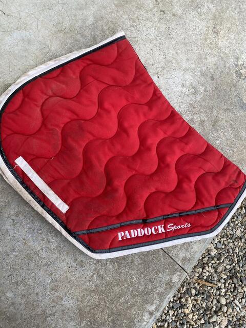 Tapis Paddock