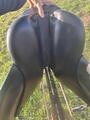 Selle dressage devoucoux