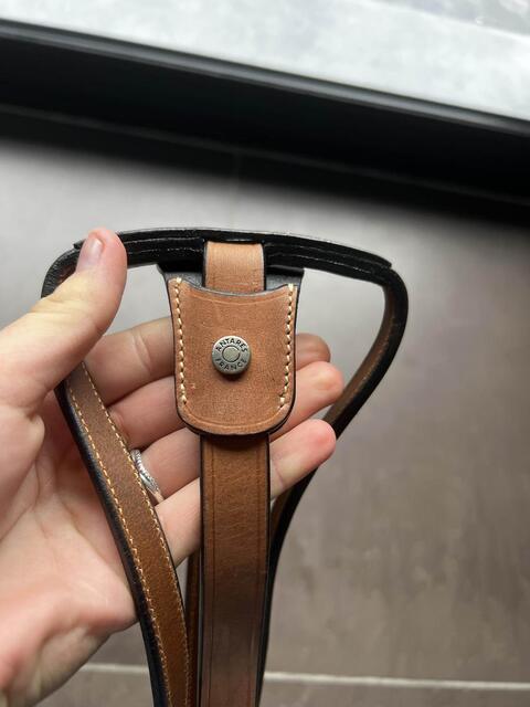 martingale Antares