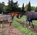 Couverture Polaire