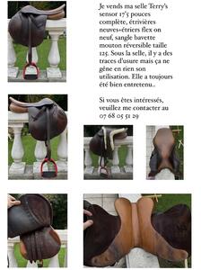 Selle Terry’s sensor