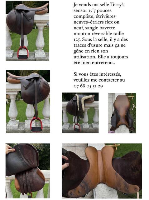 Selle Terry’s sensor