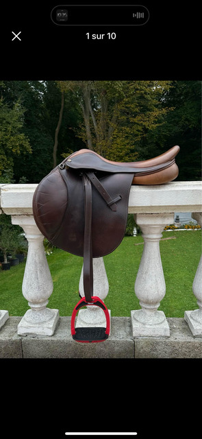 Selle Terry’s sensor