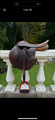 Selle Terry’s sensor