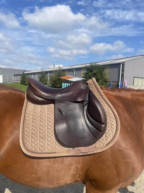 Selle d’obstacle Stübben