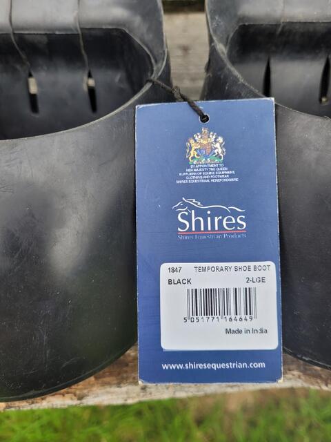 Hipposandales shires