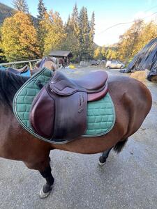 Selle devoucoux Biarritz Lab négociable
