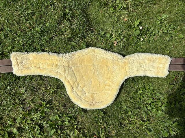 bavette mouton cwd