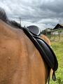 Selle de dressage 17,5