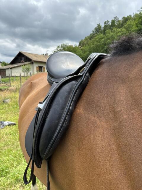 Selle de dressage 17,5