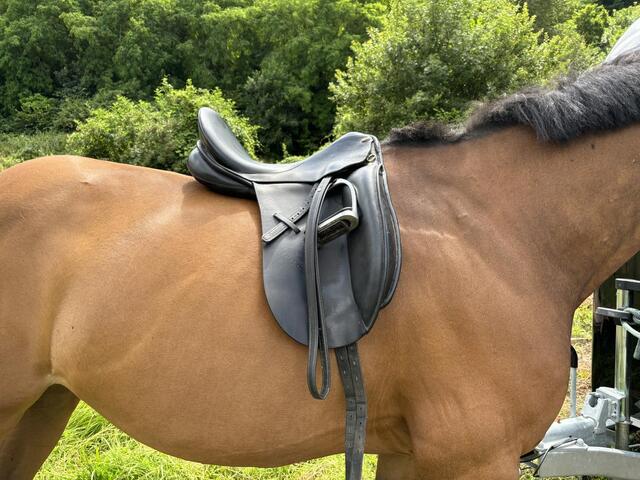 Selle de dressage 17,5