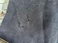 chemise polaire
