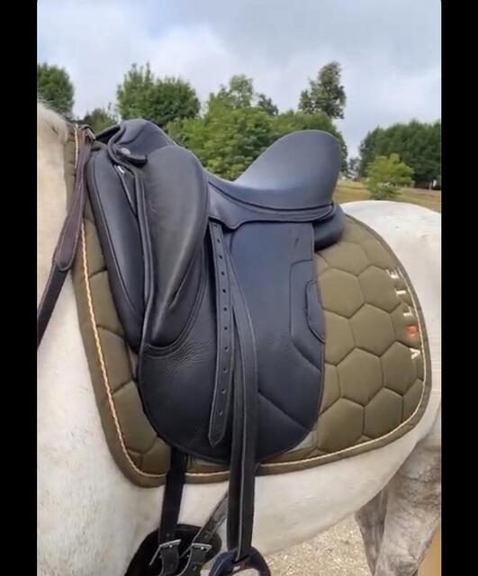 Selle dressage Antares