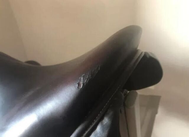 Selle forestier Boeckelo