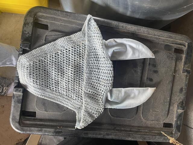 bonnet cheval