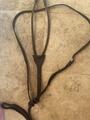 martingale cwd taille 3