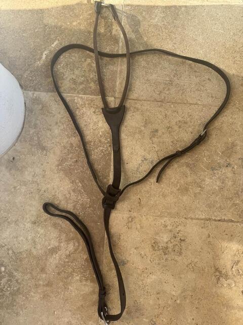 martingale cwd taille 3