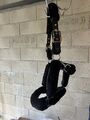 Licols Mouton Neufs