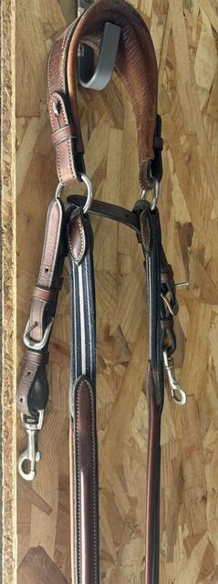 Collier de chasse avec martingale