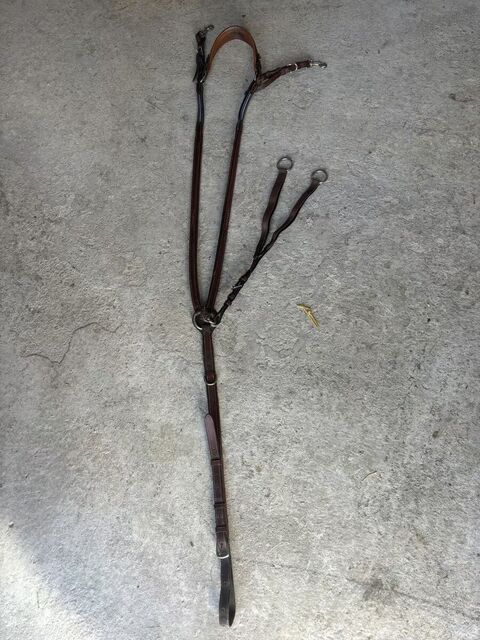 Collier de chasse avec martingale