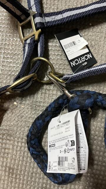 Licol + longe Bleu Norton