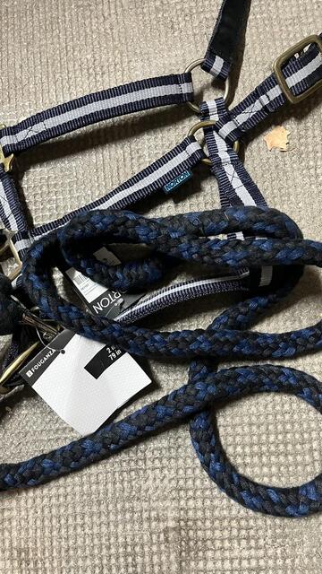 Licol + longe Bleu Norton