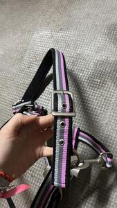 Licol Norton poney rose