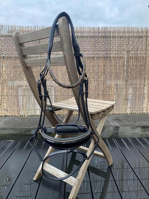 Bridon dressage