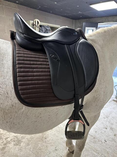 Selle Ikonic Light