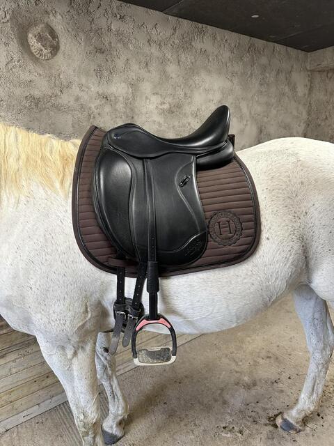 Selle Ikonic Light