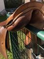 Selle en cuir marron