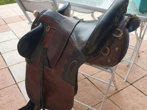 Selle Australienne