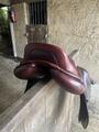 Selle CWD