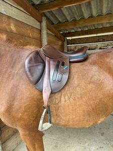 Selle gbs