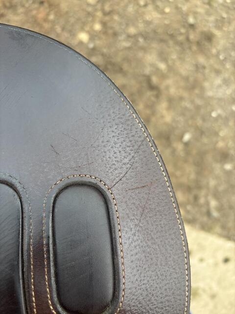 Selle gbs