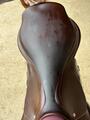 Selle gbs