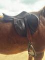 Selle gbs