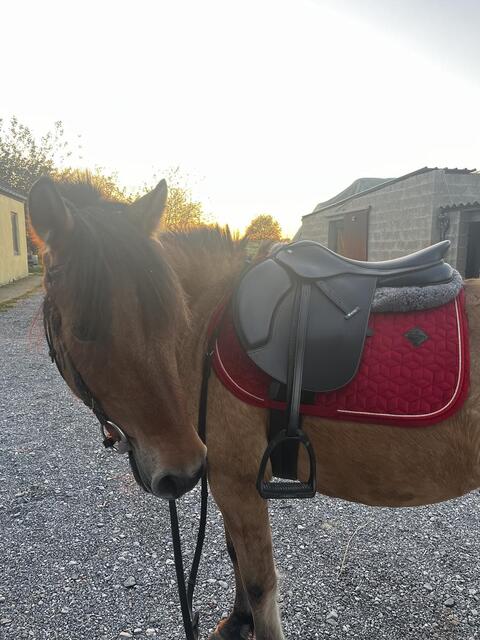 Tapis Kentucky rouge