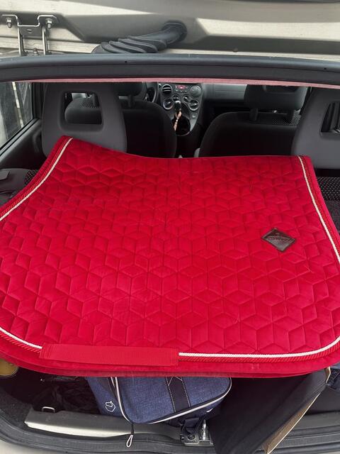 Tapis Kentucky rouge