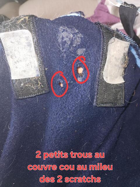 Couverture polaire