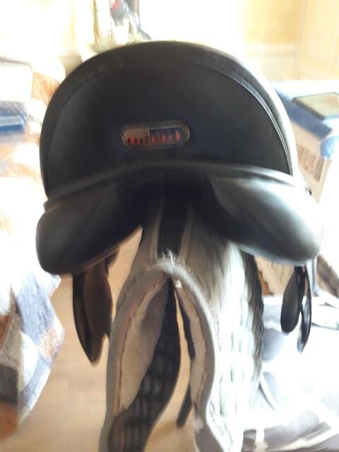 SLLE DRESSAGE