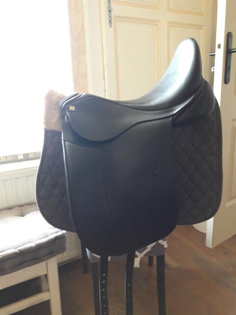 SLLE DRESSAGE