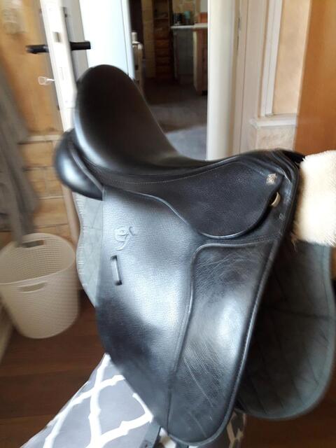 SLLE DRESSAGE